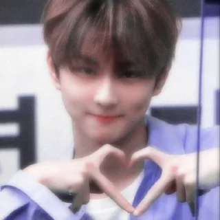 🌸 cutie jungwon @GardenYyangO4, Telegram sticker 18 of 28