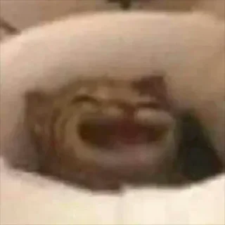 @BaoNoReal's ThunderUserbot Vol.1
