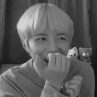 💗 Beomgyu meme by @ALDIXXRA, стікер Telegram 11 з 56