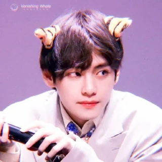 🐡 TAEHYUNG SOFT BY @O95THYCNGKIM, стікер Telegram 3 з 25