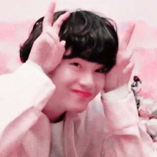 🦩 Taehyung soft @aesthaticgirll, sticker Telegram 20 sur 25