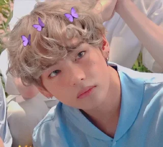 🍪 Soft taehyung by 🥑, sticker Telegram 14 sur 15