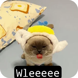 🧸 https://nanapunya, Telegram sticker 18 of 27