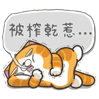 😟 白爛貓信息貼圖, стікер Telegram 10 з 24