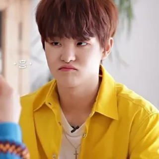 😮 Jihoon，@stickernct., стикер Telegram 6 из 45