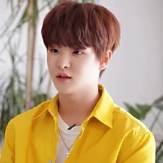 😮 Jihoon，@stickernct., стикер Telegram 8 из 45