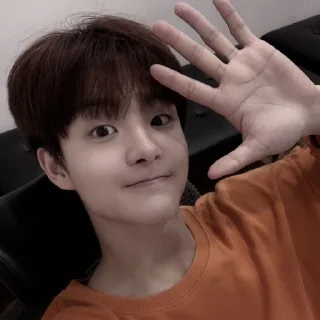 📯 Jihoon ` @KOCOKNDASE, стикер Telegram 17 из 26