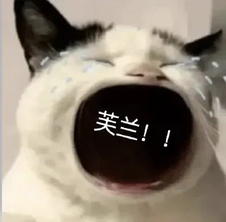 🐱 嚎哭深渊, стікер Telegram 13 з 25