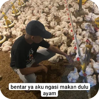 🌱 bandung pret, sticker Telegram 20 sur 74