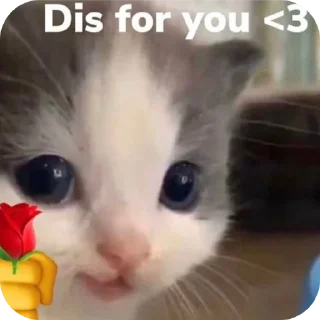 🐱 Hyun🤌🏼 (@AURAT_807), Telegram sticker 19 of 62