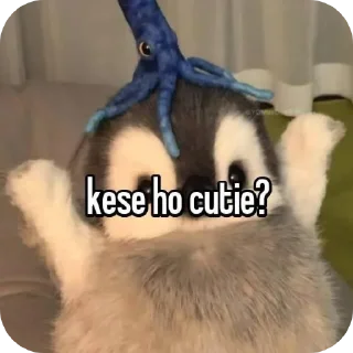 🧵 Hyun🤌🏼 (@AURAT_807), Telegram sticker 6 of 62