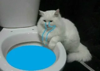 🪞 ini meme yy, стікер Telegram 17 з 120