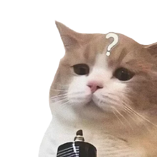 😘 cats, sticker Telegram 5 sur 30