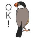 Sparrow 1