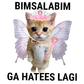 🐱 random by @swtvnli, Telegram sticker 6 of 34