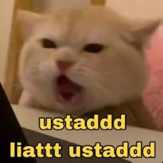 😾 punya isel @lopingjaehyune, Telegram sticker 21 of 77
