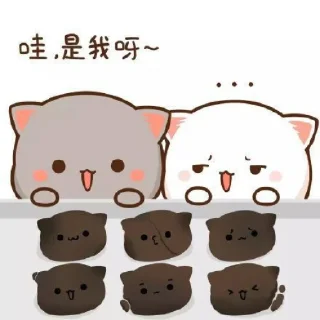 🍉 couple cute, стикер Telegram 15 из 25