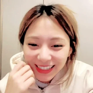 🎠 tzuyu ! @pinkypenguin, sticker Telegram 19 sur 39