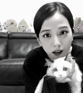 🖤 Jisoo dark @aesthaticgirll, sticker Telegram 12 sur 25