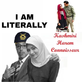 🧕 Critical Raita Theory 1.2, sticker Telegram 14 sur 60