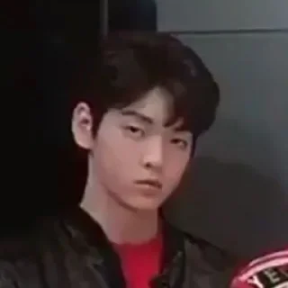 🍕 ✨BIGHIT LABELS MEME✨, Telegram sticker 14 of 75