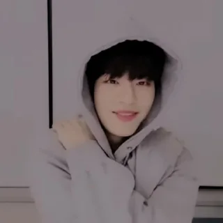 🌁 ⿻ྀ⃕  KIM SEUNGMIN . @FVCK00PRIDE, стикер Telegram 14 из 35