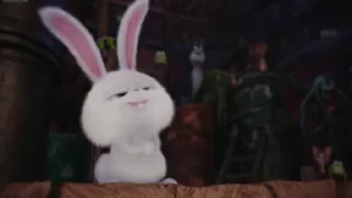 🤷‍♂ 🐰 ✨ @Lucky_kaif05, стікер Telegram 8 з 34