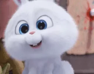 🐰 ✨ @Lucky_kaif05