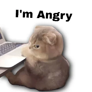 😠 Ori stickers, Telegram sticker 7 of 14
