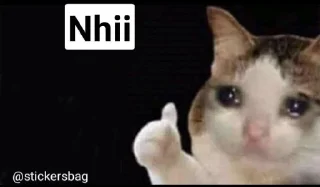 🥲 Cat memes🌟💖 @itsmelegend, sticker Telegram 11 sur 95