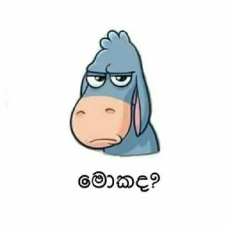 🤨 සිංහල funny ස්ටිකර්👉👈, Telegram sticker 6 of 76