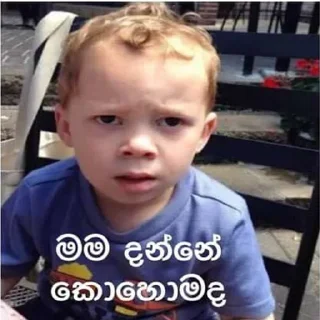 🤔 සිංහල funny ස්ටිකර්👉👈, Telegram sticker 13 of 76