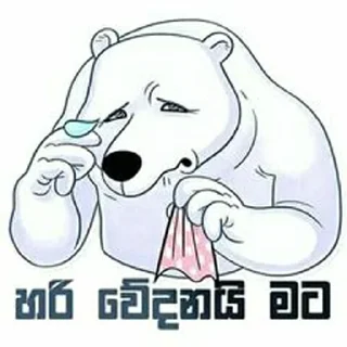 😢 සිංහල funny ස්ටිකර්👉👈, Telegram sticker 5 of 76