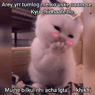 🫣 Cute, стикер Telegram 21 из 93