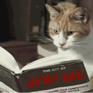 📖 Pussies 🐈, Telegram sticker 14 of 30