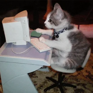 🖥 Pussies 🐈, Telegram sticker 12 of 30