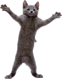 🐈 Pussies 🐈, Telegram sticker 23 of 30