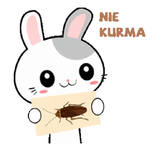 🍫 ramadhan @stikerswa, sticker Telegram 24 sur 24