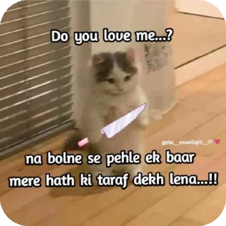 🐱 Fanny memes stickers 😁, Telegram sticker 2 of 120