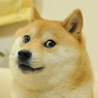 ☁️ Cheems Dog Supremacy, стікер Telegram 15 з 120