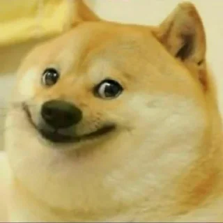 ☁️ Cheems Dog Supremacy, стікер Telegram 17 з 120