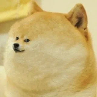 ⛅️ Cheems Dog Supremacy, стікер Telegram 16 з 120