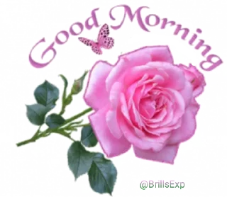 🌹 🌴🌴🌴🌴🌴, sticker Telegram 16 sur 84