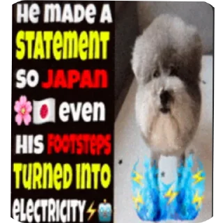 🐶 Brainrot insta, стікер Telegram 15 з 110