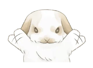 🐇 ⋆ Taremimi rabbit mix! ࿈ 𖡻 @petiteyeux, Telegram sticker 10 of 40