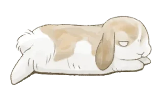 🐇 ⋆ Taremimi rabbit mix! ࿈ 𖡻 @petiteyeux, Telegram sticker 18 of 40