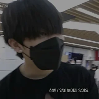🐺 Changbin|| @changbinsticker11, sticker Telegram 16 sur 37