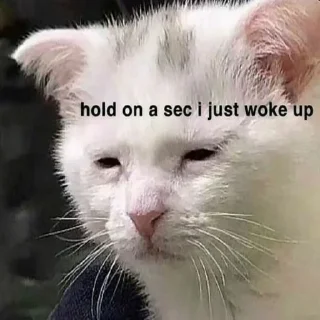 😪 SHUBHAM, Telegram sticker 9 of 21