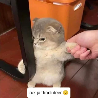 😟 SHUBHAM, Telegram sticker 8 of 21