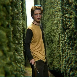 Cedric Diggory @alohom0ra